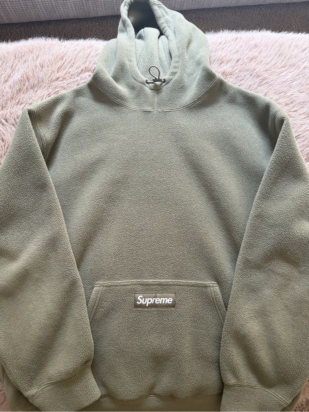 Supreme Polartec FW21 Light Olive Hooded Sweatshirt (XL)